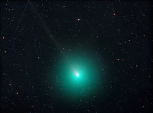 Komet 46P/Wirtanen mit RASA 8" von Celestron, Michael Jäger