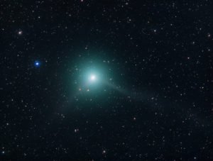 C/2018 Y1 Iwamoto, Aufnahme vom 12. Februar 2019, 24x50 Sekunden mit RASA 8, UT 1.10, Michael Jäger