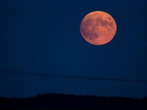 Panasonic G70 mit 500mm Teleobjektiv ohne Nachführung, @A. Kerste