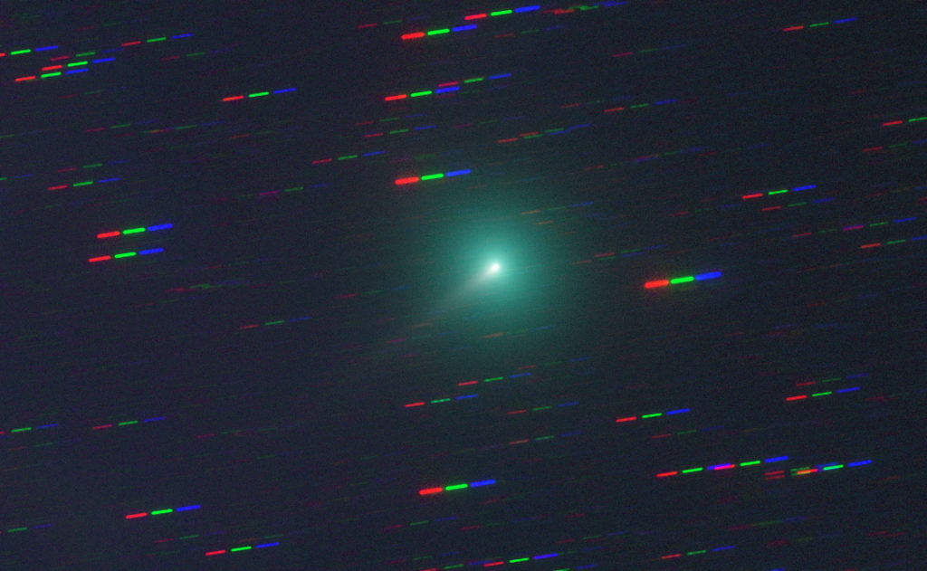 Komet Atlas (C/2019 Y4) aufgenommen mit Celestron RASA 8" f/2.0 - Michael Jäger