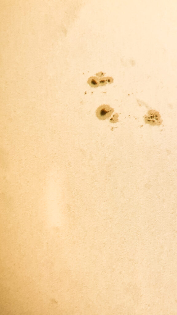 Sonnenflecken vom 23.04.22 aufgenommen mit Celestron Nexstar 4SE - Torsten Grosser