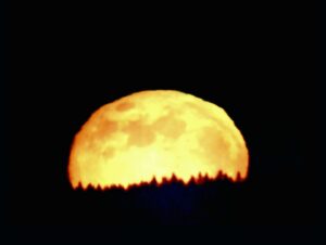Mondaufgang über dem Erzgebirge aufgenommen mit Nexstar 4 - Tino Fanghänel