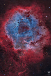NGC 2244 - Rosettennebel (Natural Palette Version) aufgenommen mit Celestron RASA 11" - Yannick Akar