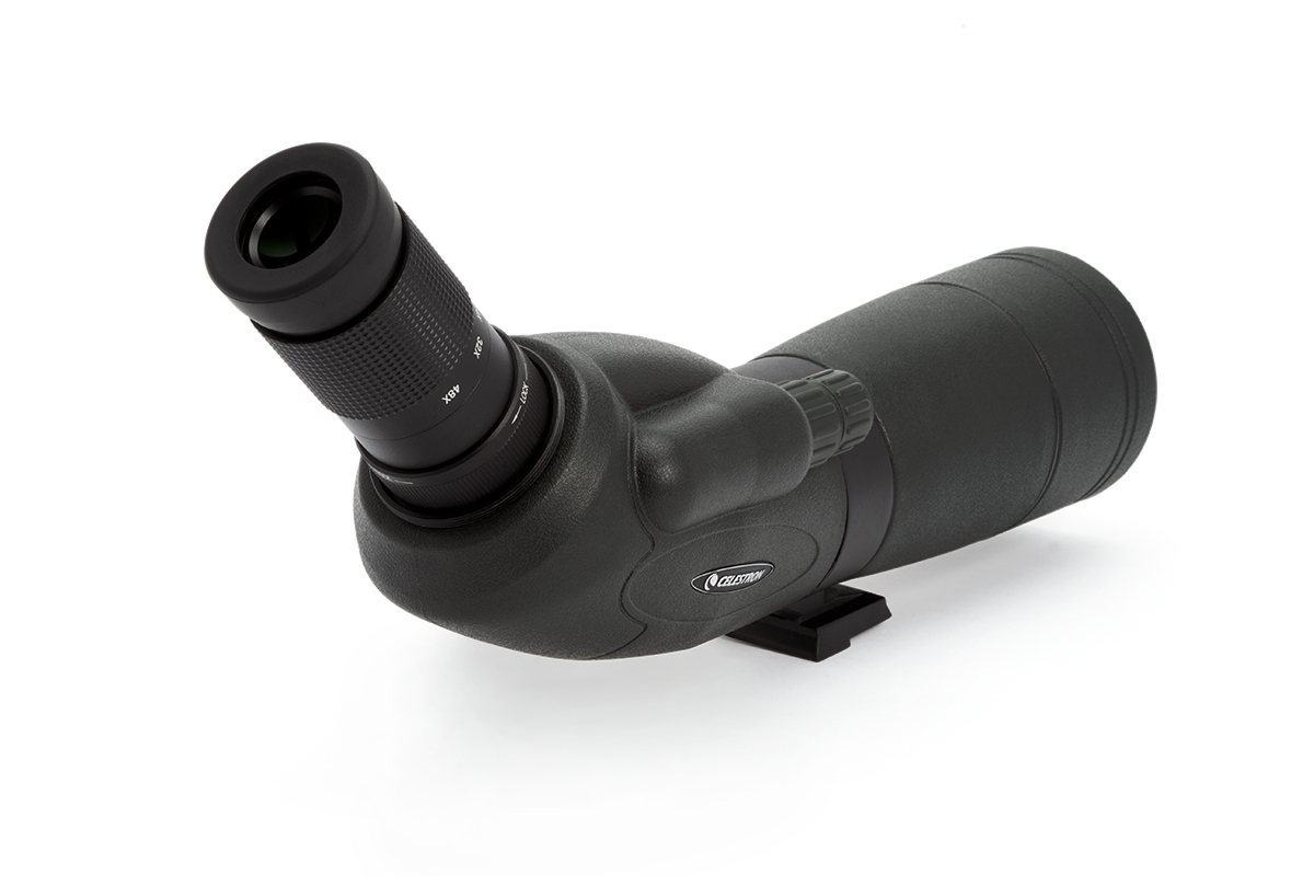 Product image.