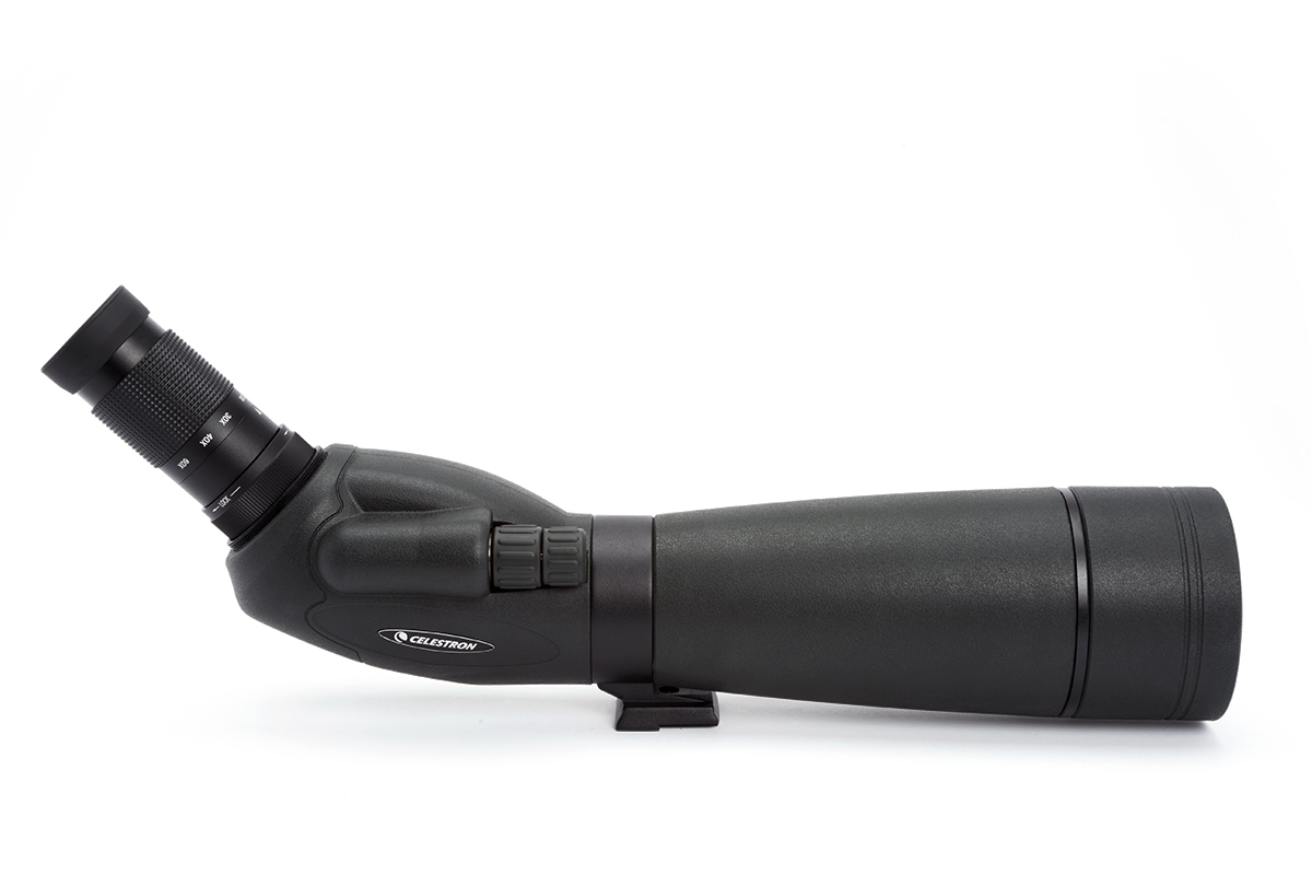 Product image.