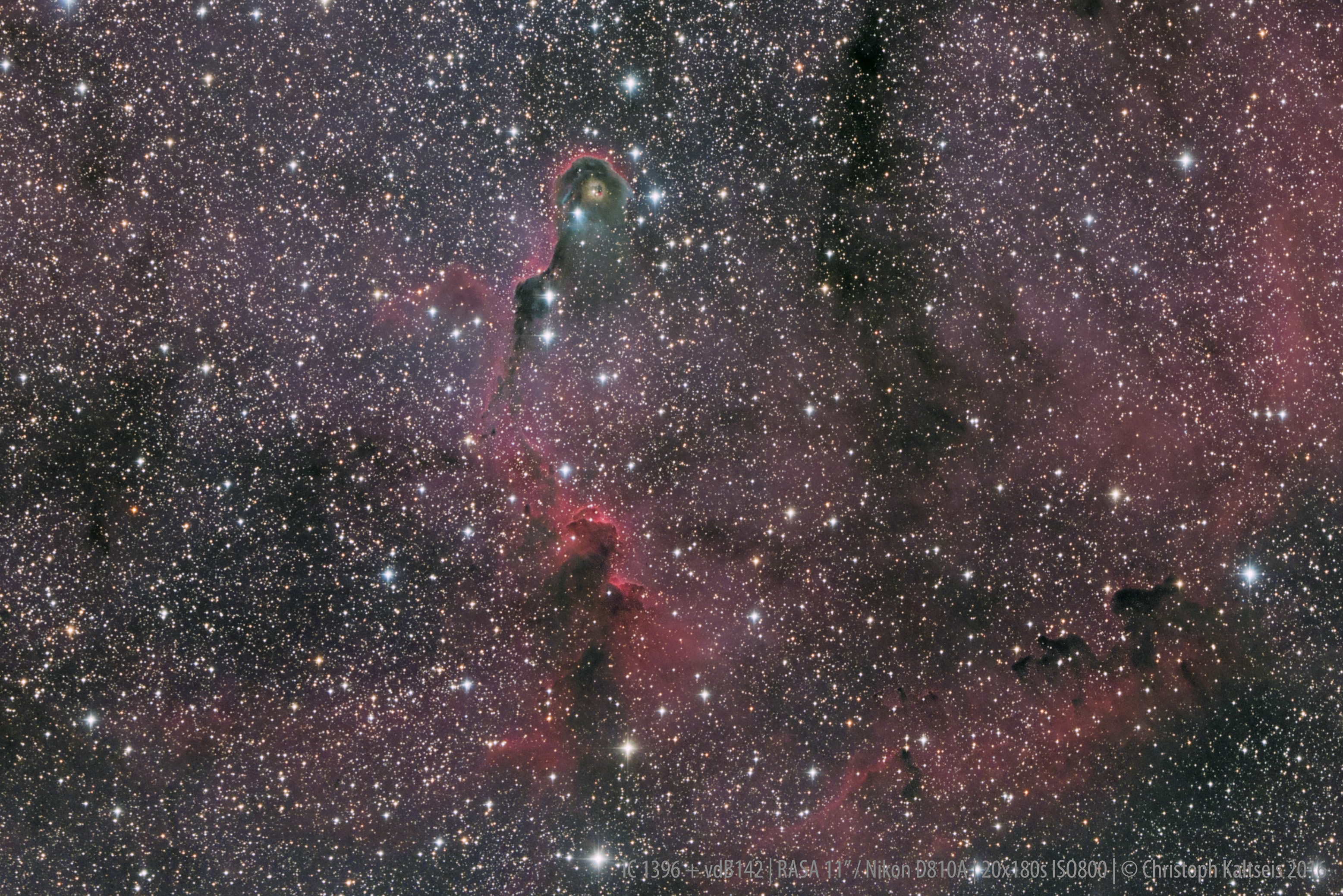 Anwendung: NGC 7822 mit 11 Zoll Rasa - Christoph Kaltseis