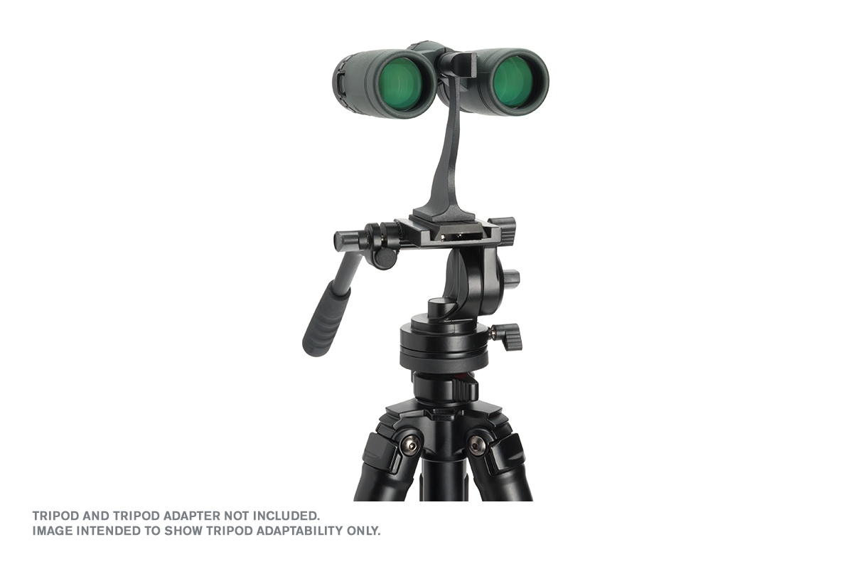 Product image.