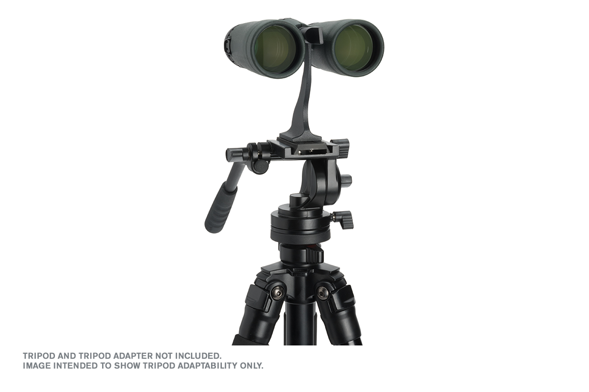 Product image.