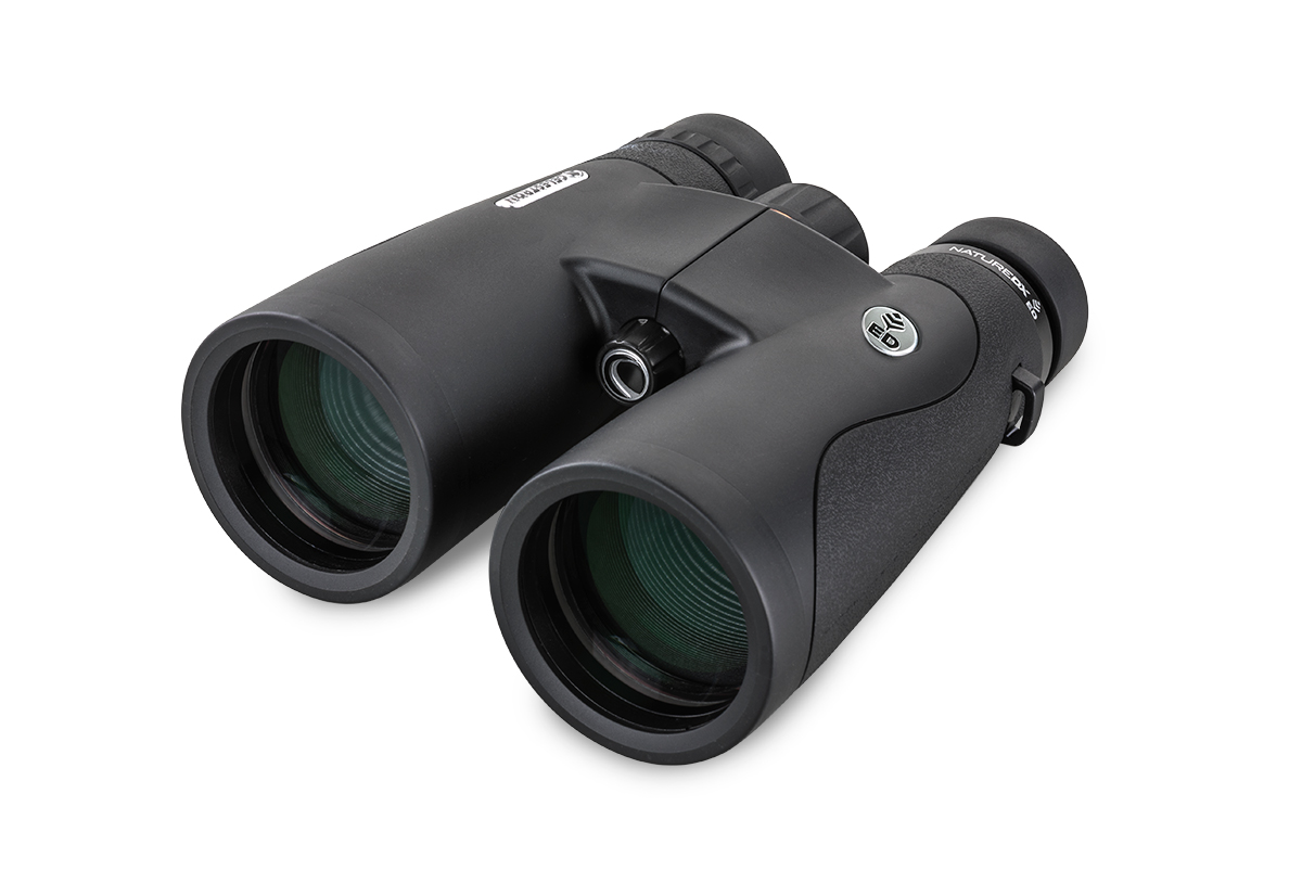 Product image.