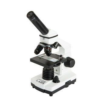 Product image.
