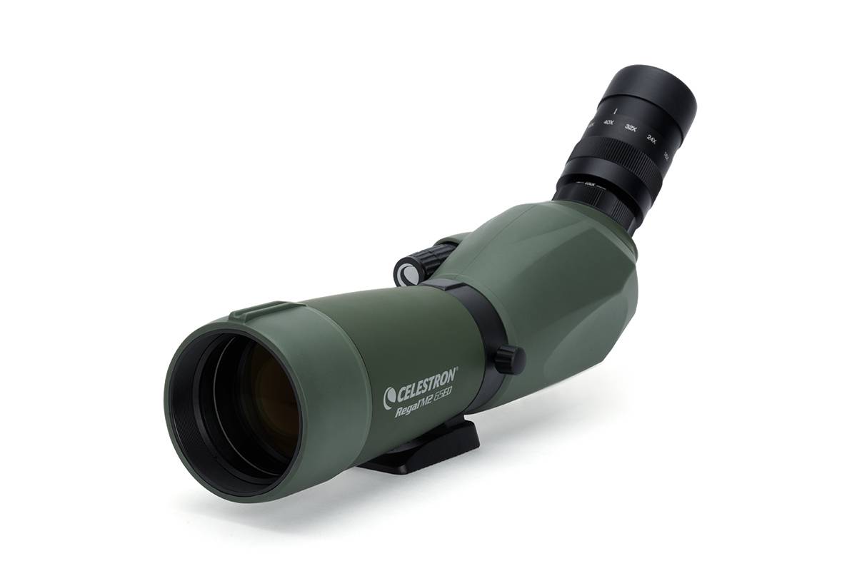 Regal M2 16-48x65 Spektiv