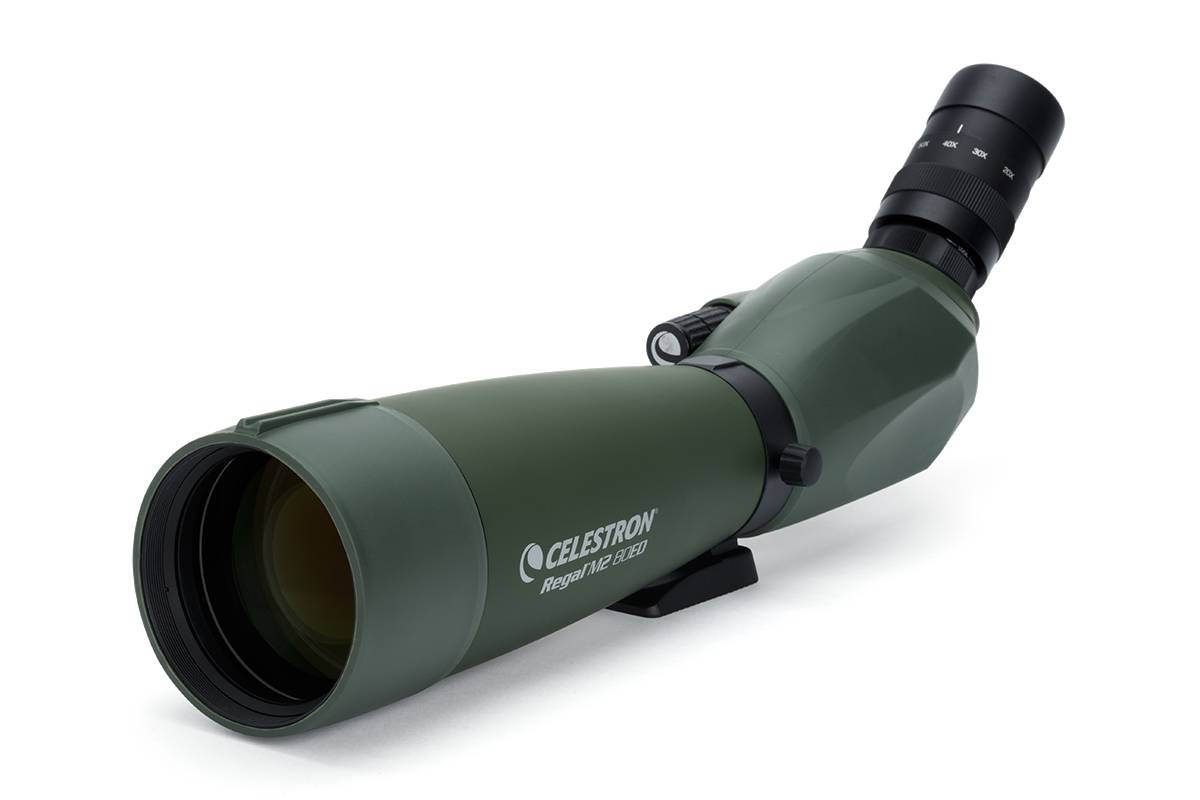 Regal M2 20-60x80 Spektiv