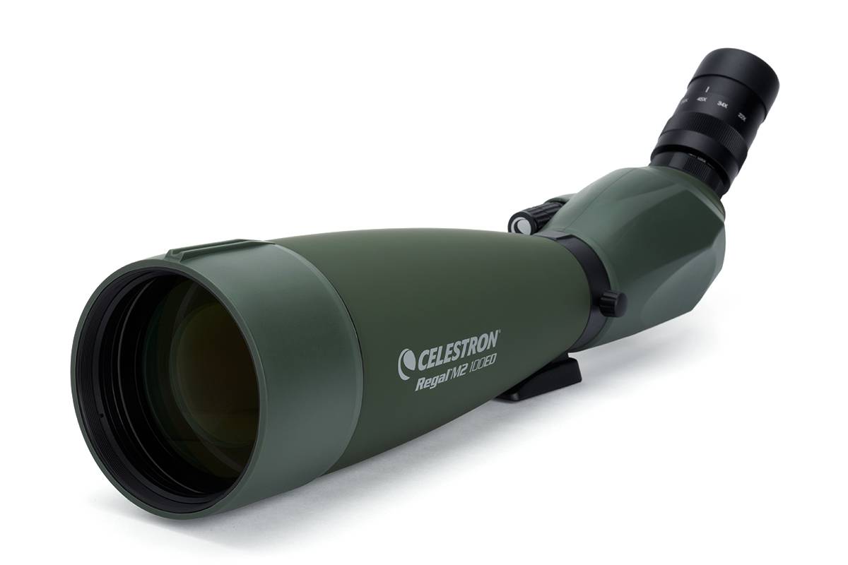 Regal M2 22-67x100 Spektiv
