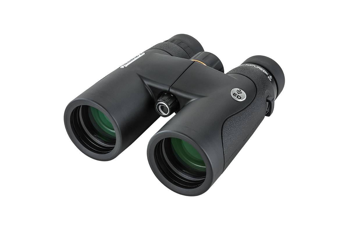 Nature DX 10x42 ED Dachkant