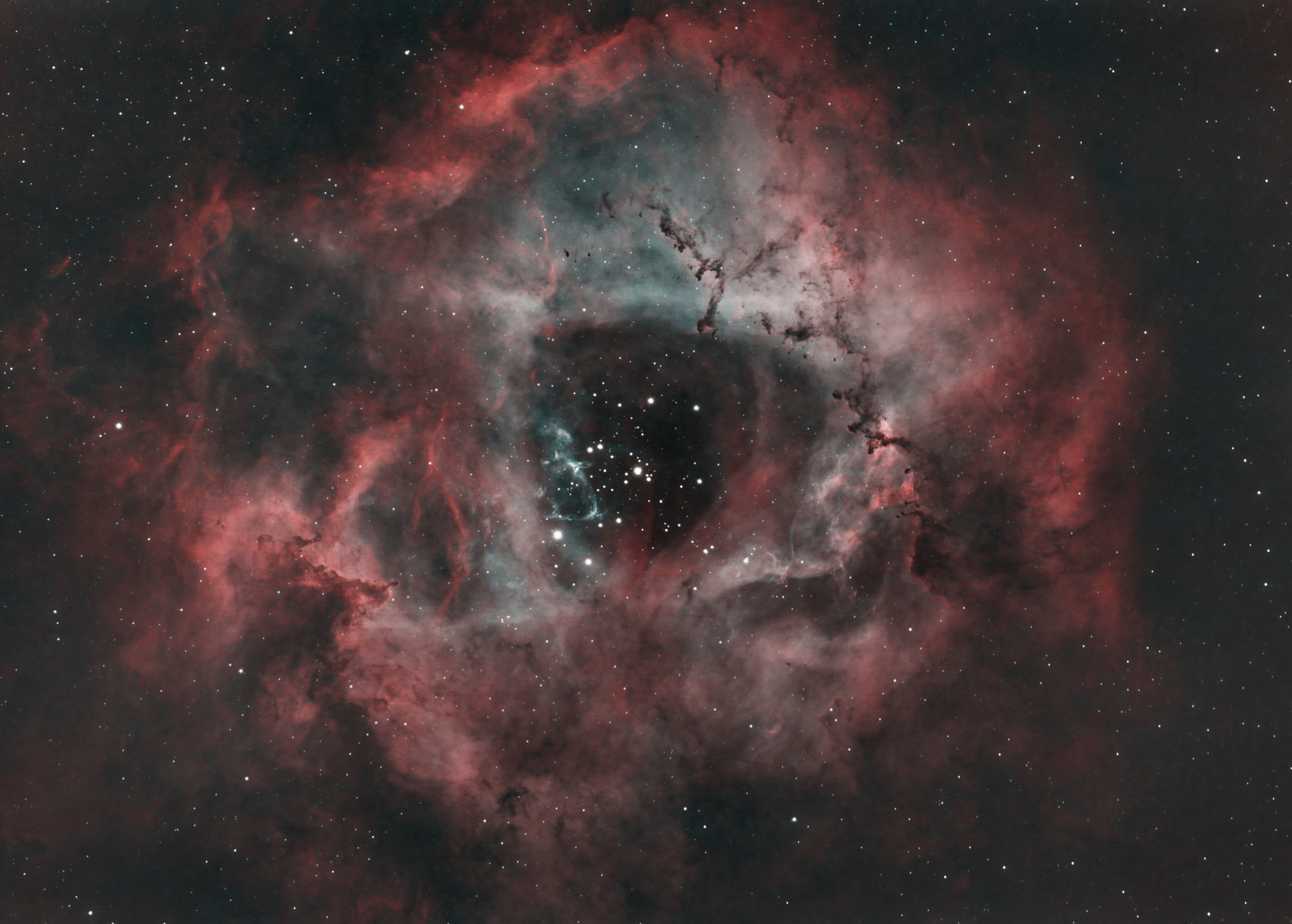 Rosettennebel, Celestron RASA 8 + ASI183MCpro Farbkamera, auf einer 10Micron GM1000. Ein IDAS-Dualbandfilter wurde verwendet, um die H-Alpha- und [OIII]-Emissionslinien hervorzuheben, Aufnahmezeit 3 Std., PixInsight, Ort: Hamburg, ©Peter Br